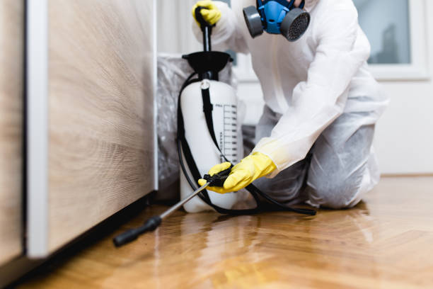 Best Pest Inspection Near Me  in Malden, MO