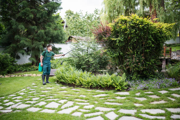 Best Residential Pest Control  in Malden, MO