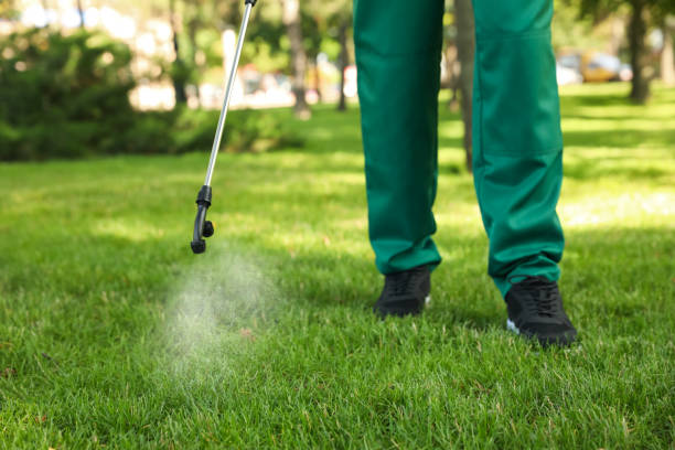 Best Insect Control  in Malden, MO