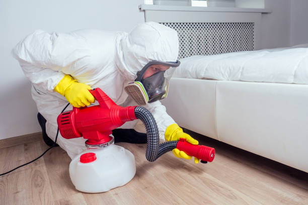 Best Mosquito Control Services  in Malden, MO