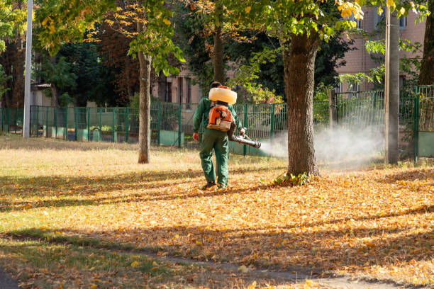 Best Best Pest Control Companies  in Malden, MO